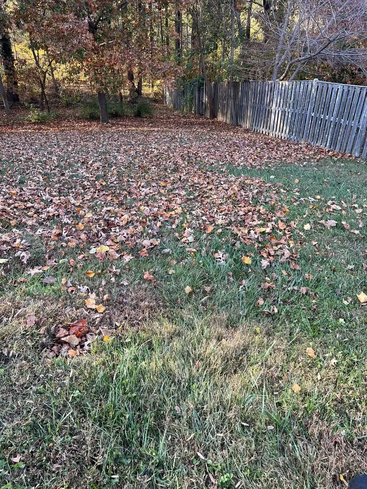 Custom landscape installation for beautiful yards in Lothian, MD by MT Landscaping