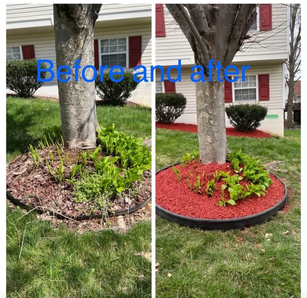 Trusted lawn care service in Lothian, MD - MT Landscaping