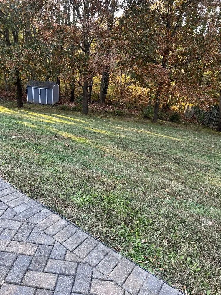Custom yard maintenance experts serving Lothian, MD - MT Landscaping