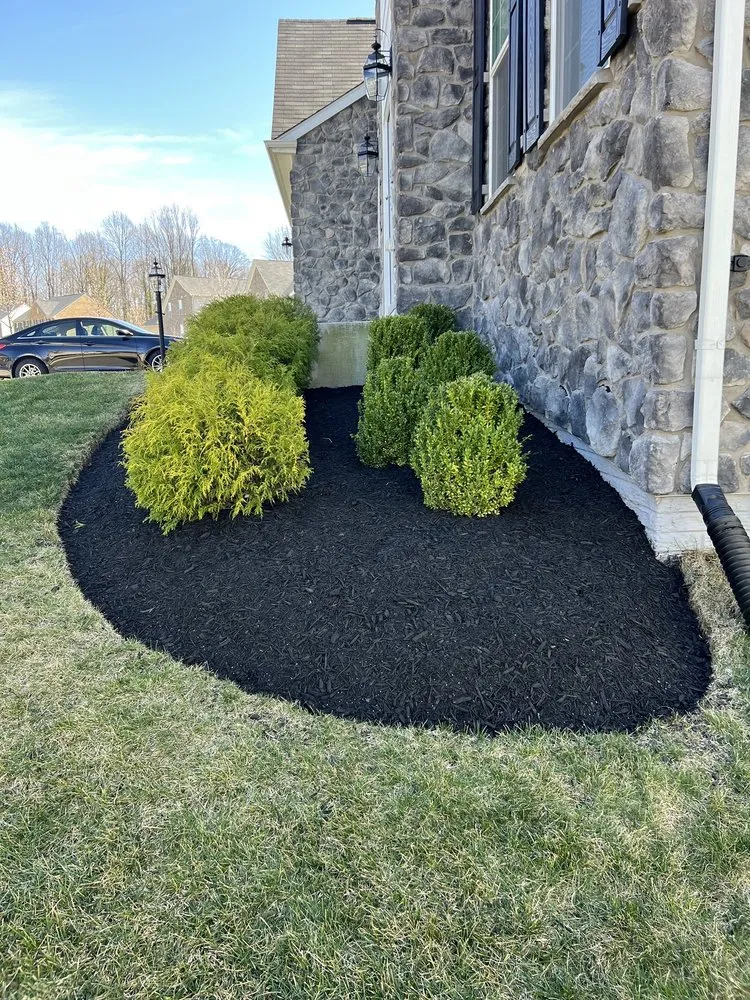 Local landscape installation for year-round maintenance in Lothian, MD by MT Landscaping
