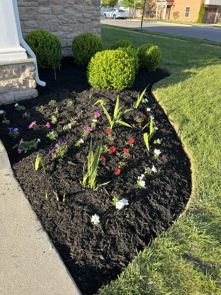 Expert yard maintenance in Lothian, MD by MT Landscaping