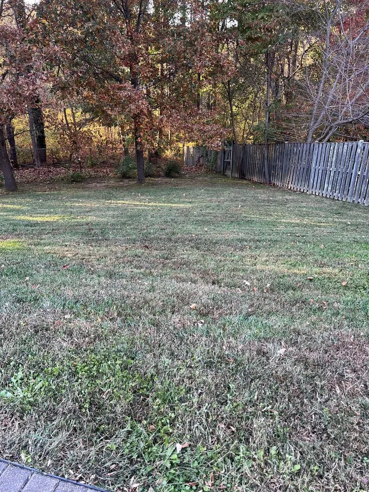 Professional landscape design in Lothian, MD - MT Landscaping