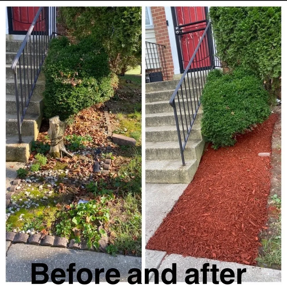 Top-rated lawn mowing service for beautiful yards across Lothian, MD - MT Landscaping