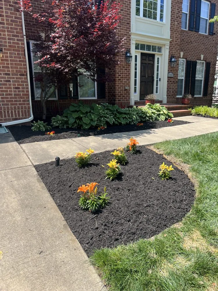 Local outdoor landscaping experts serving Lothian, MD - MT Landscaping