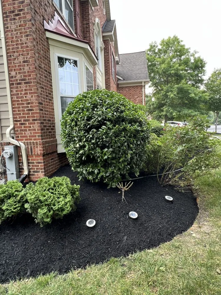 Top-rated landscape installation in Lothian, MD by MT Landscaping
