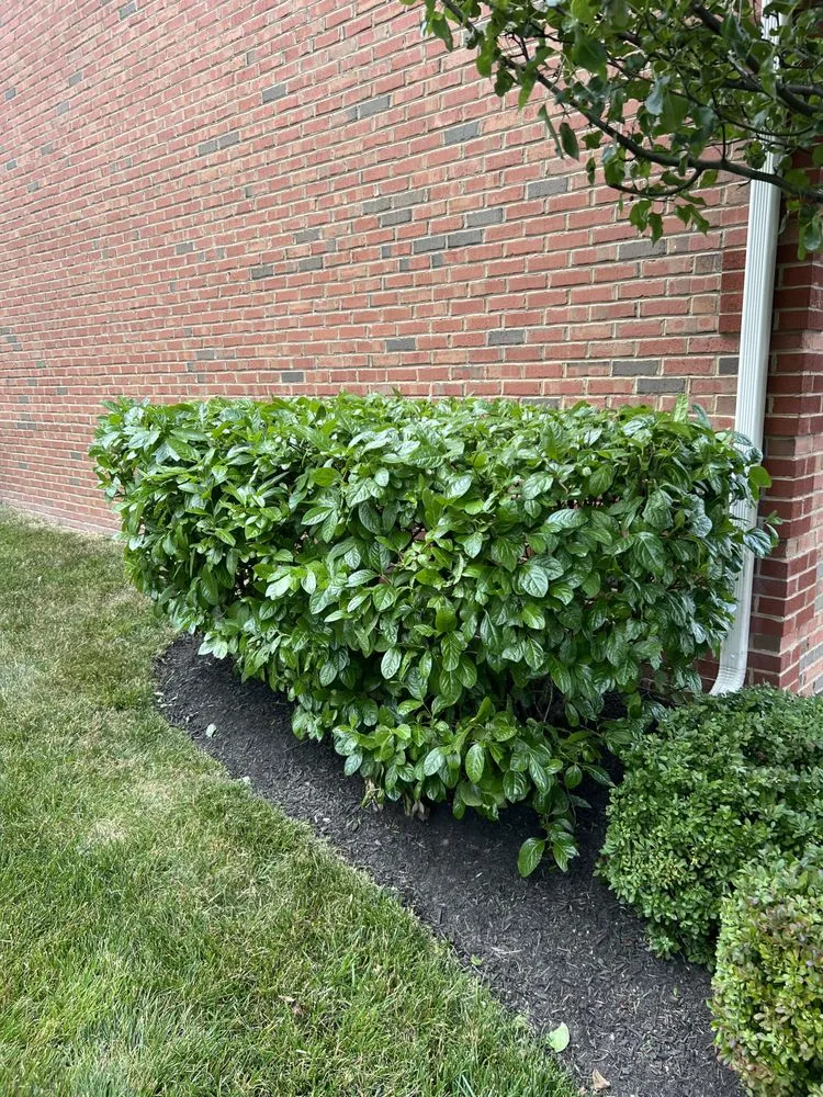 Expert lawn mowing service for residential properties across Lothian, MD - MT Landscaping