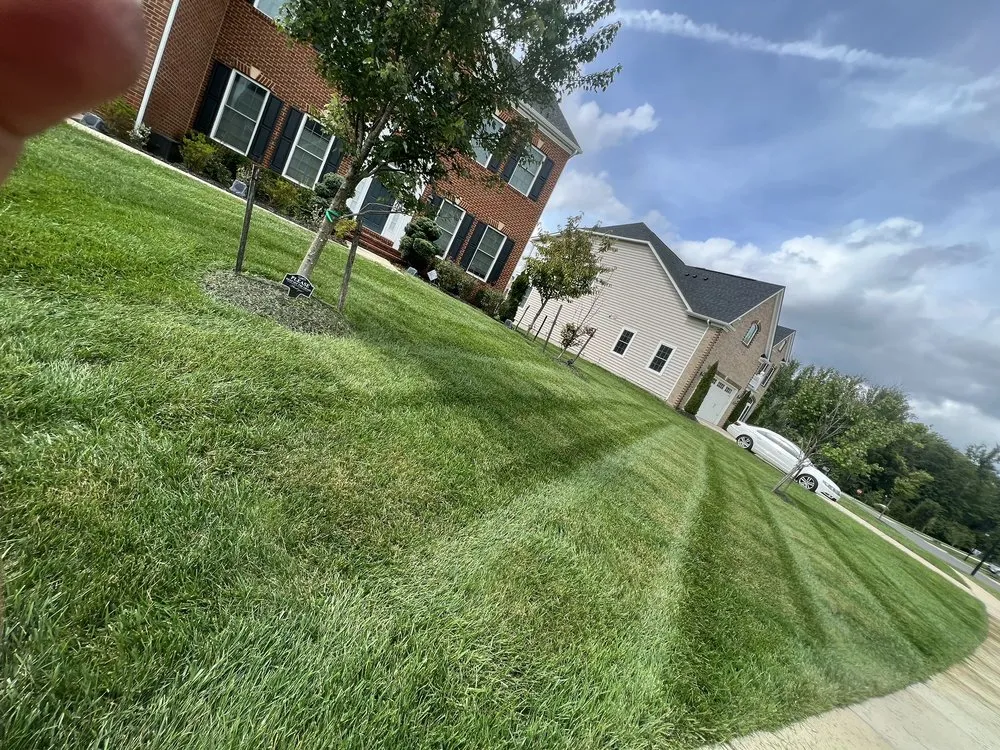 Trusted yard maintenance with custom design across Lothian, MD - MT Landscaping