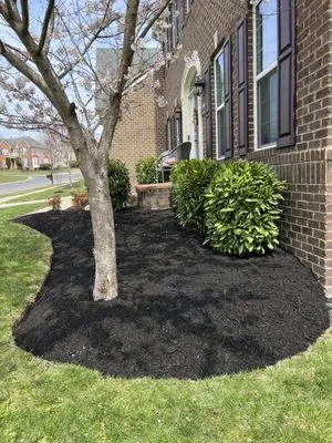 MT Landscaping Logo
