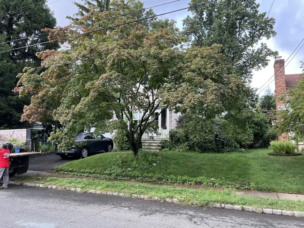 Expert outdoor landscaping for residential properties across Roselle, NJ - M&T Landscaping