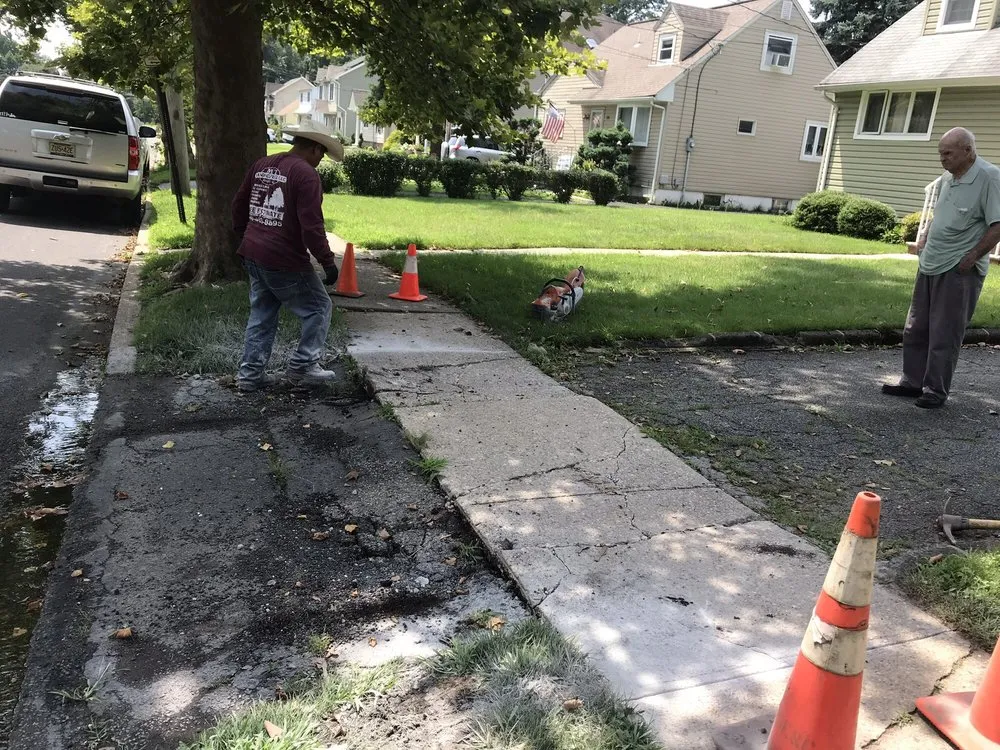 Trusted landscape design in Roselle, NJ by M&T Landscaping