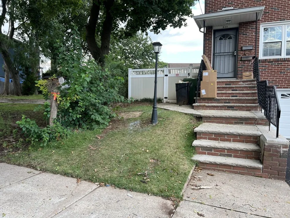 Professional yard maintenance for residential properties in Roselle, NJ by M&T Landscaping