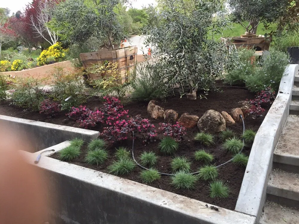 Custom outdoor landscaping in San Rafael, CA by MT Landscaping