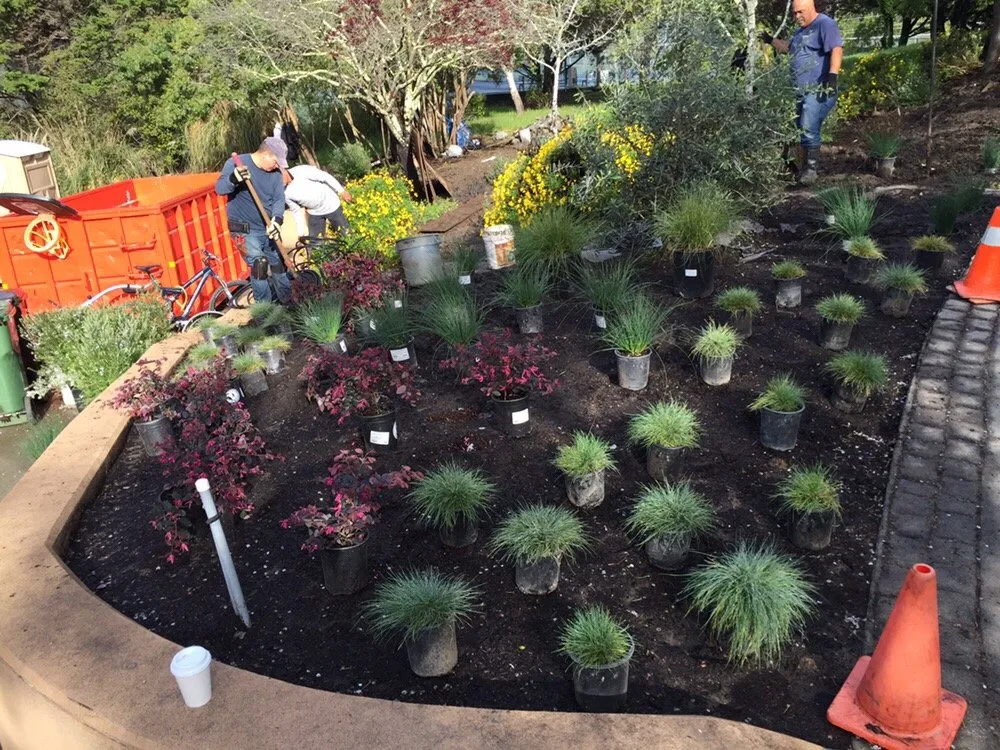 Reliable landscape installation for residential properties in San Rafael, CA by MT Landscaping