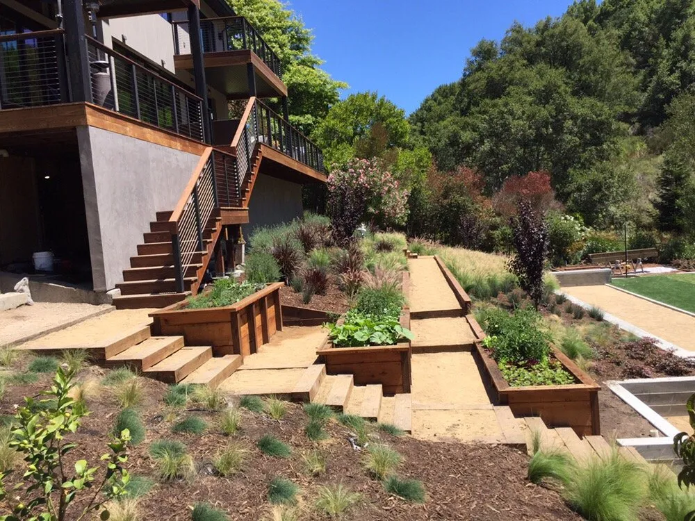 Reliable landscape installation experts serving San Rafael, CA - MT Landscaping