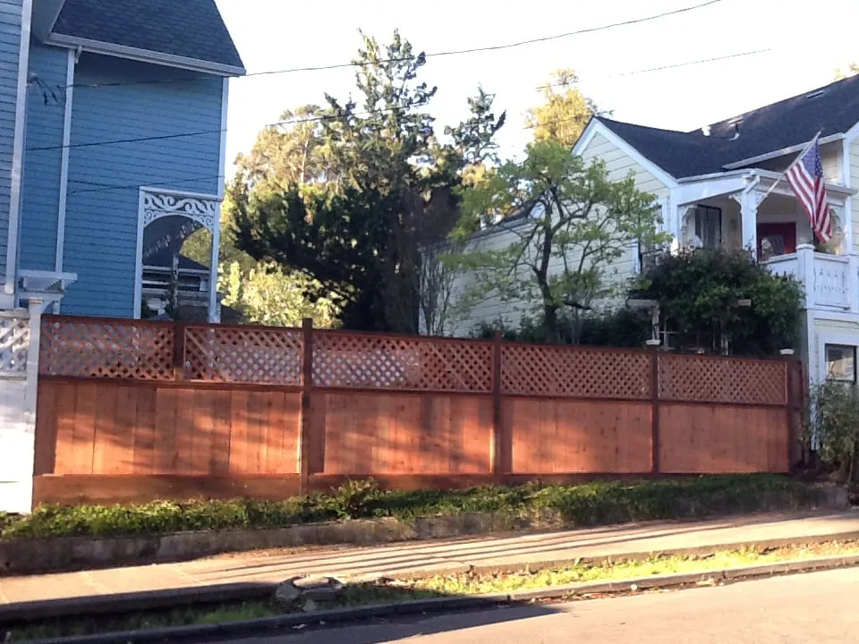 Affordable residential landscaping experts serving San Rafael, CA - MT Landscaping