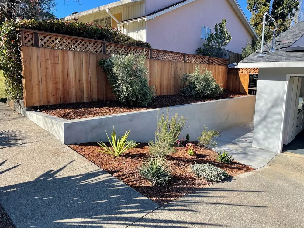 Trusted yard maintenance in San Rafael, CA - MT Landscaping