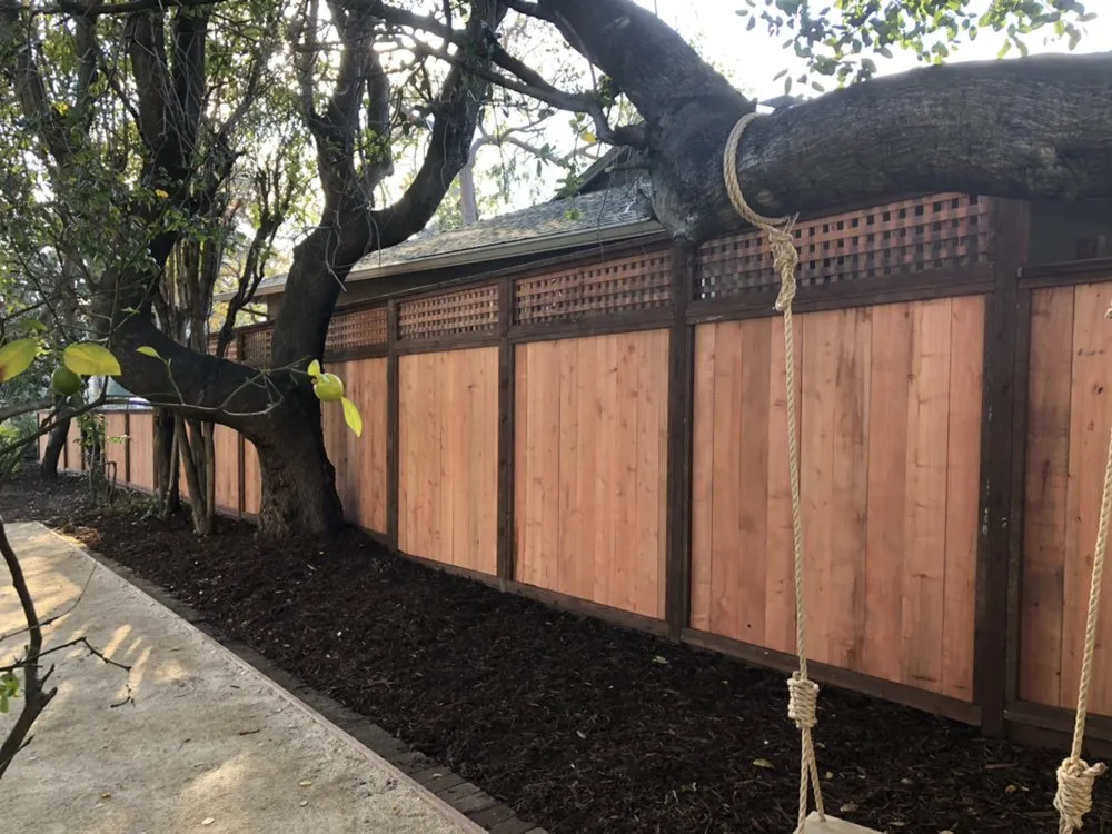 Top-rated lawn mowing service for year-round maintenance across San Rafael, CA - MT Landscaping