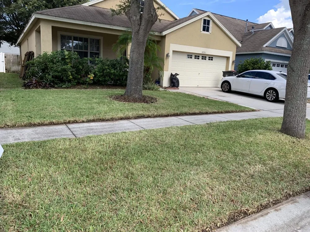 Top-rated yard maintenance experts serving Tampa Bay, FL - M&T Lawn and Pressure Washing
