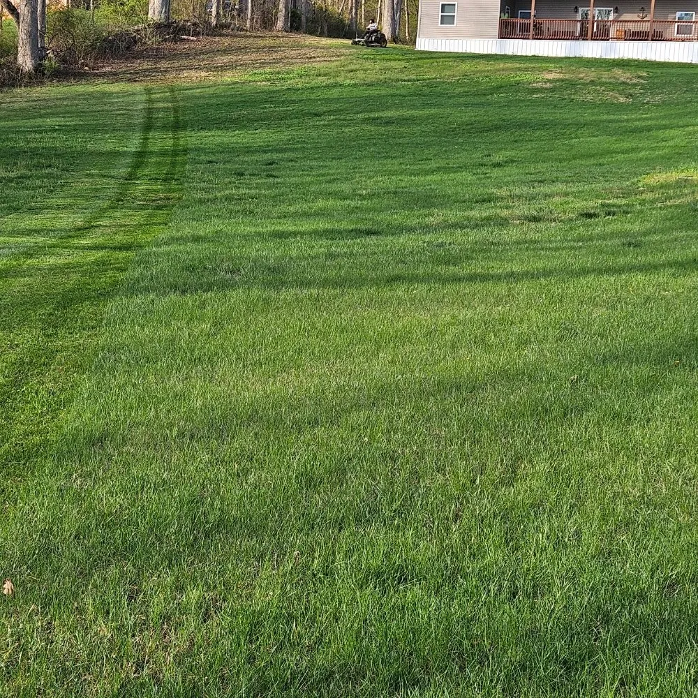 Custom yard maintenance experts serving Martinsburg, WV - M&T Lawncare