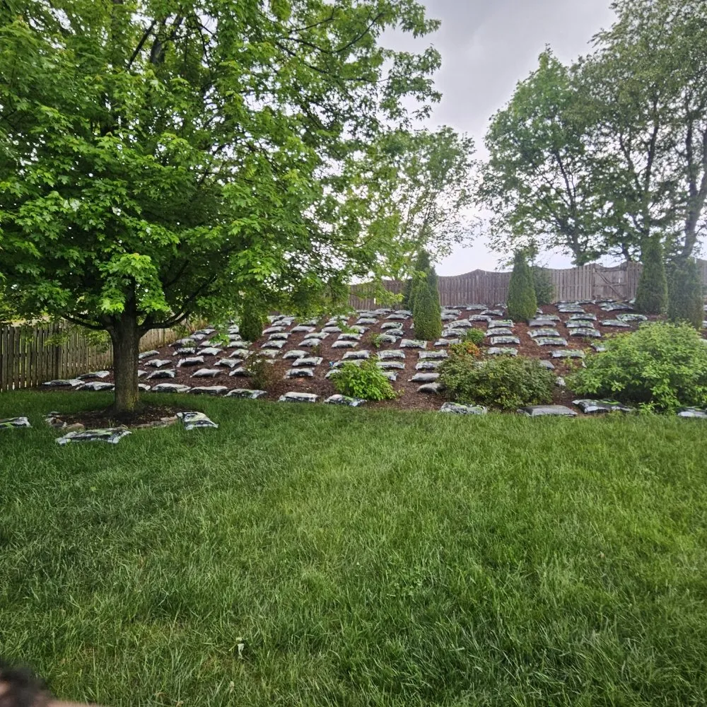 Trusted lawn mowing service in Martinsburg, WV by M&T Lawncare