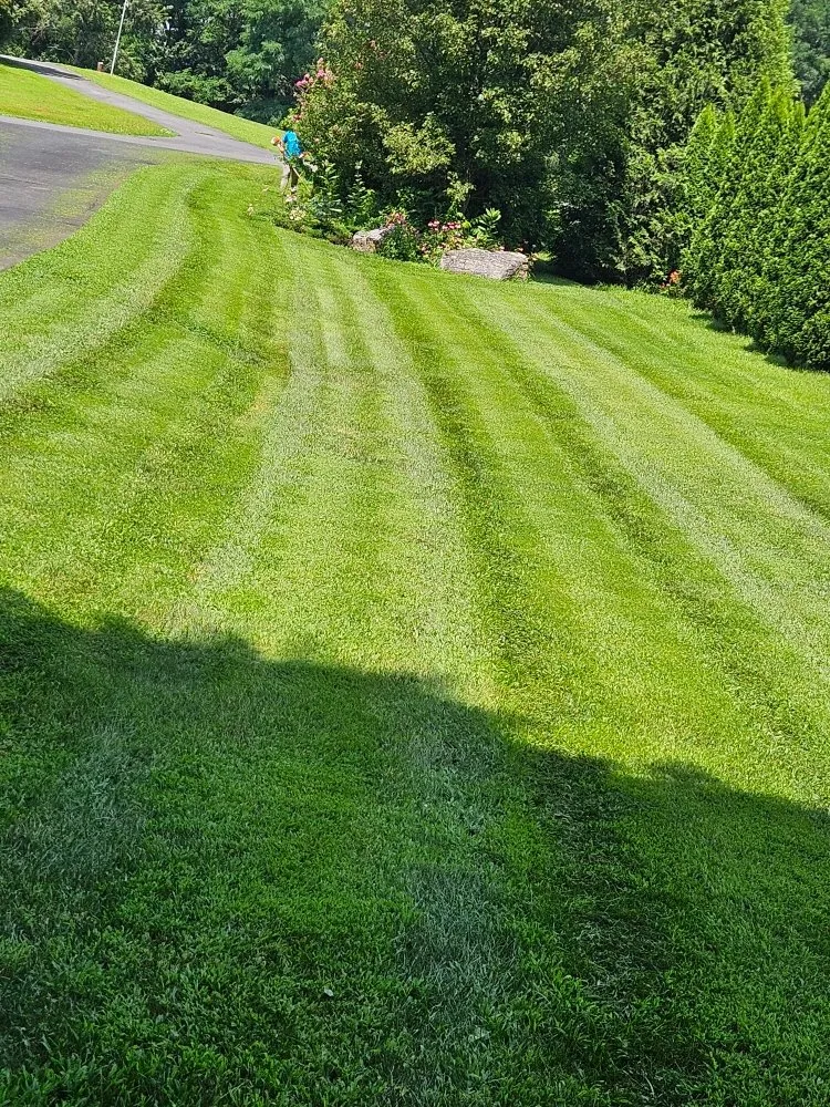 Professional garden landscaping near you across Martinsburg, WV - M&T Lawncare