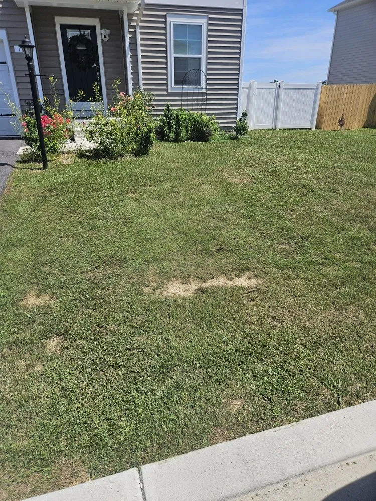 Professional yard maintenance in Martinsburg, WV - M&T Lawncare