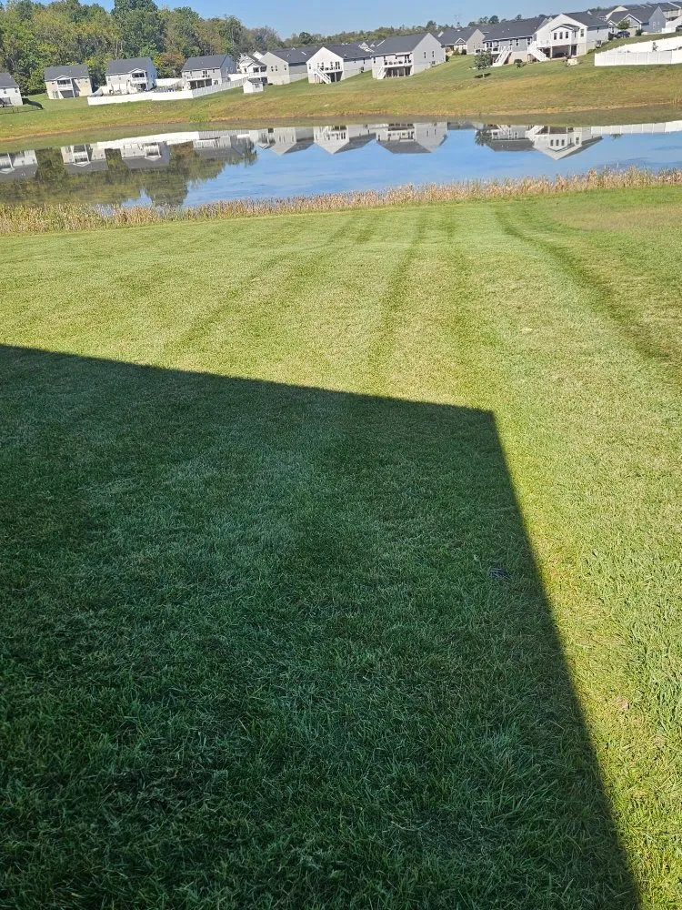 Local residential landscaping experts serving Martinsburg, WV - M&T Lawncare