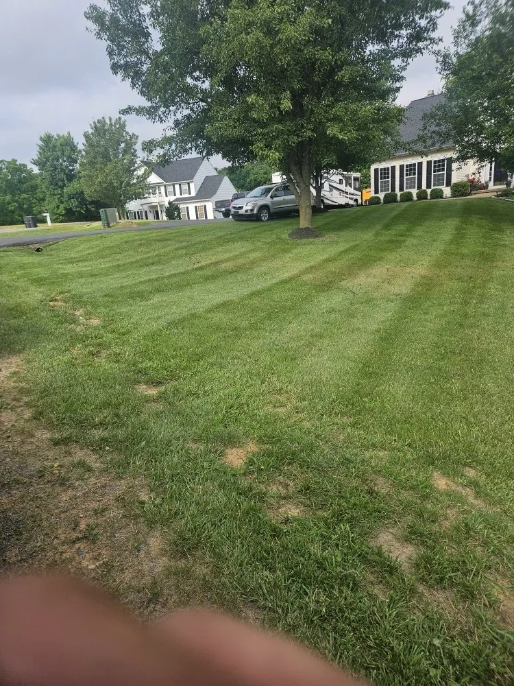 Affordable landscaping services in Martinsburg, WV by M&T Lawncare