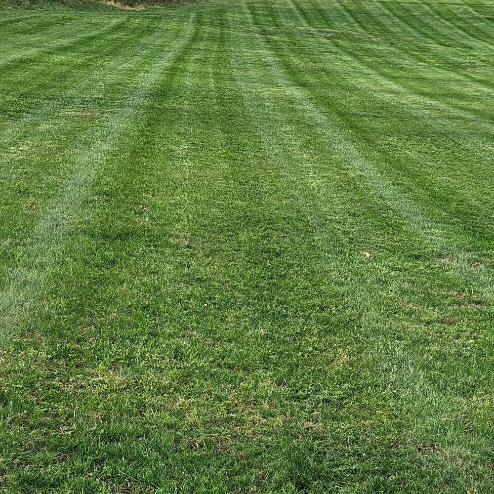 Custom garden landscaping for outdoor upgrades across Martinsburg, WV - M&T Lawncare