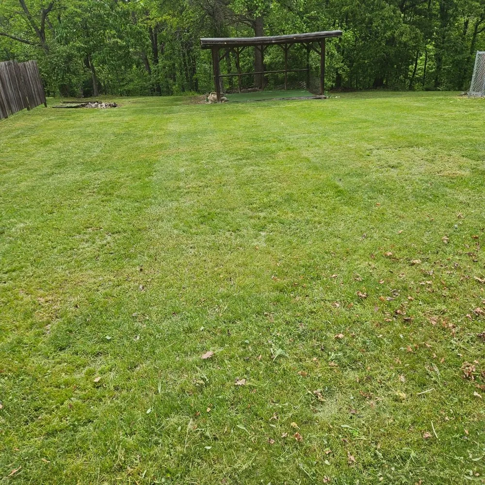 Reliable yard cleanup service in Martinsburg, WV by M&T Lawncare