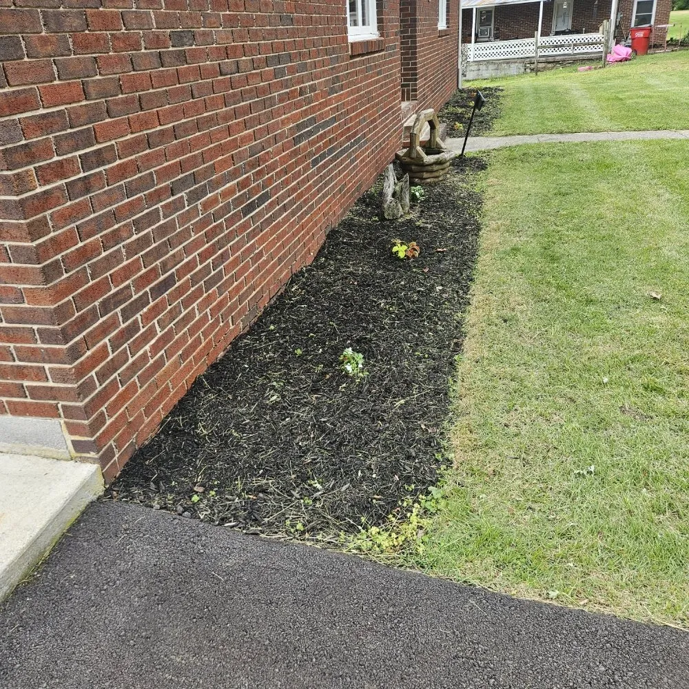 Local yard cleanup service near you in Martinsburg, WV by M&T Lawncare