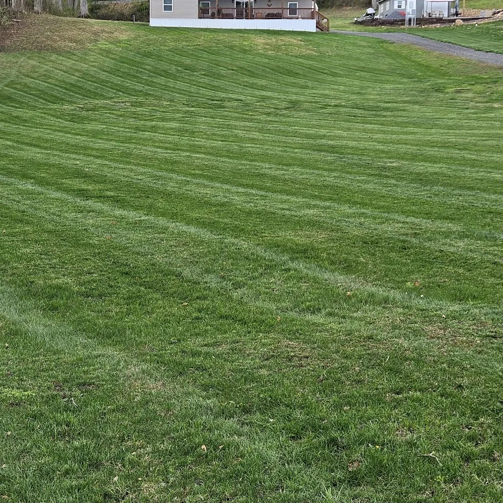 Custom yard cleanup service in Martinsburg, WV - M&T Lawncare