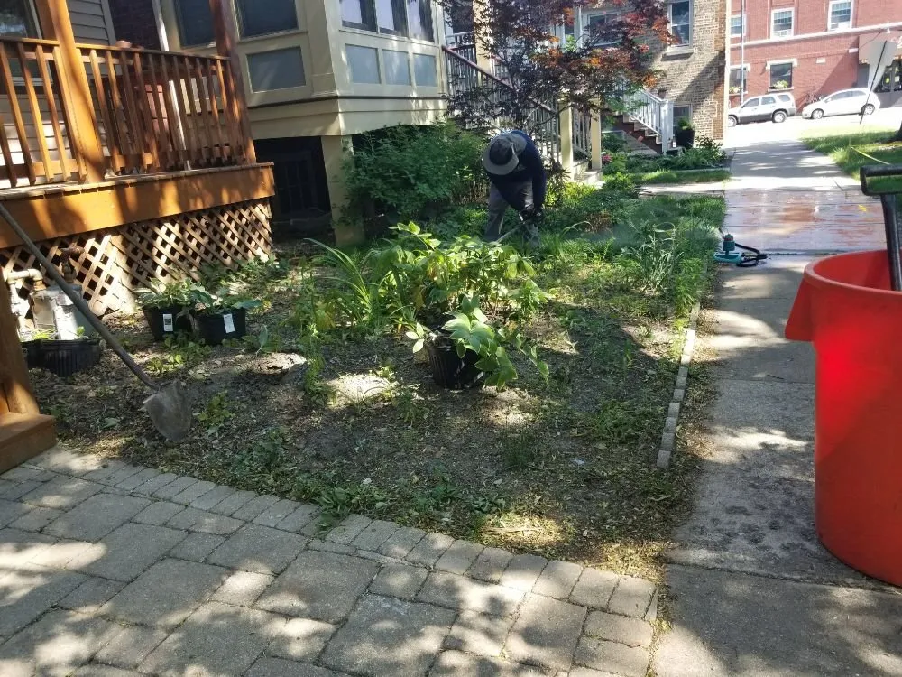 Custom yard cleanup service in Chicago, IL by MT Lawncare Services
