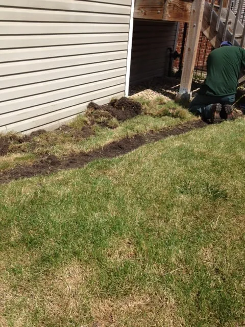 Professional yard maintenance in Chicago, IL by MT Lawncare Services