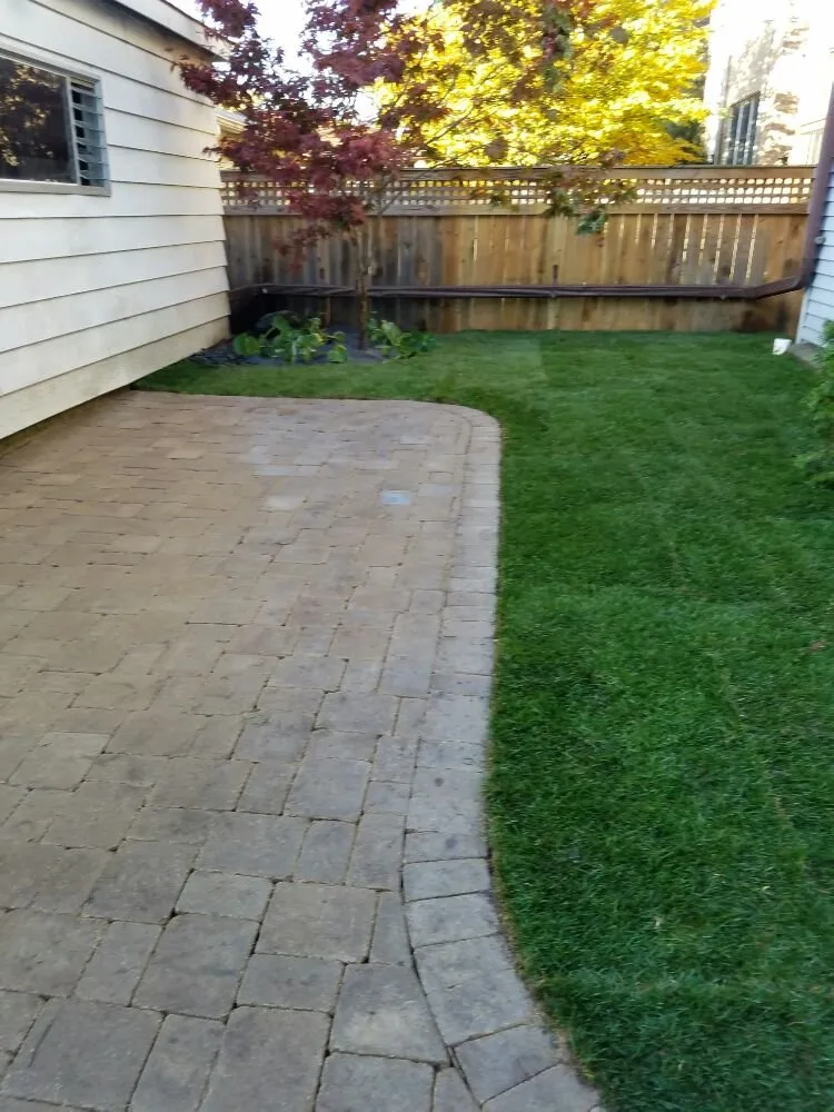 Local landscape installation in Chicago, IL - MT Lawncare Services