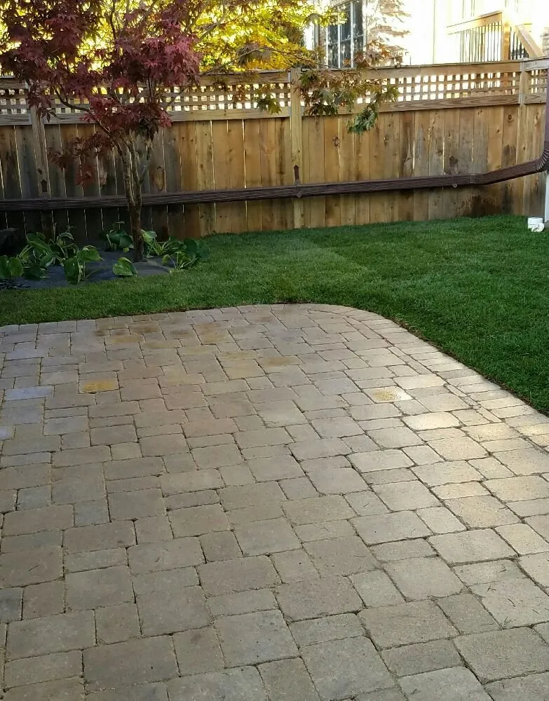 Top-rated landscape design with custom design in Chicago, IL by MT Lawncare Services