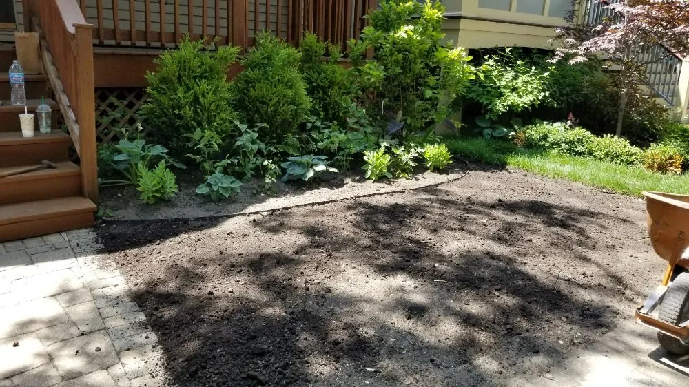 Reliable yard cleanup service in Chicago, IL by MT Lawncare Services