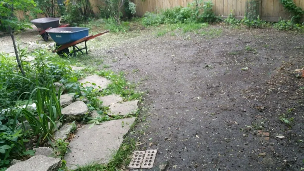 Professional garden landscaping for year-round maintenance in Chicago, IL by MT Lawncare Services