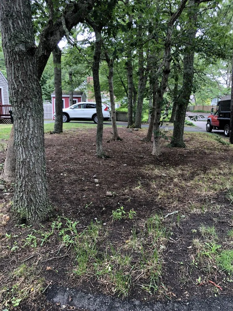 Reliable lawn care service experts serving Barnstable, MA - MT. Moriah’s Landscaping