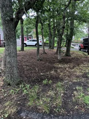 MT. Moriah’s Landscaping Logo