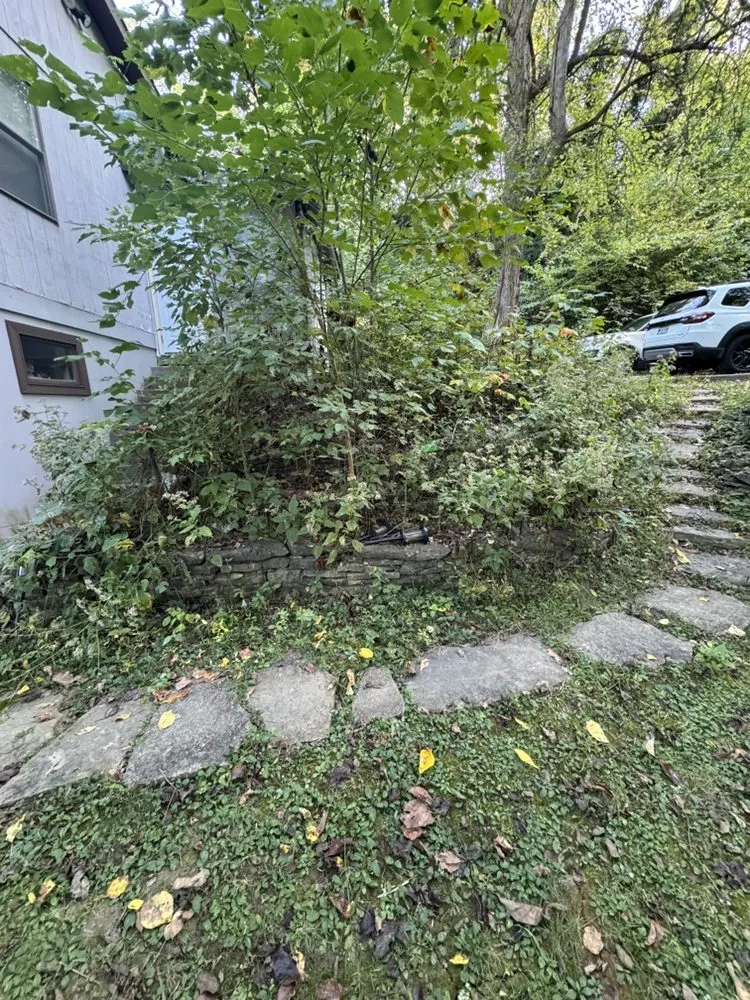 Custom lawn mowing service for residential properties in Hebron, KY by MT Outdoor Services