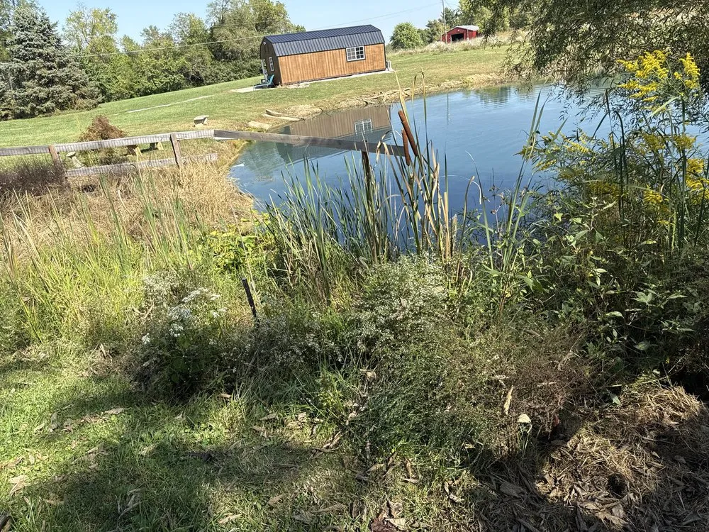 Trusted lawn care service for residential properties across Hebron, KY - MT Outdoor Services
