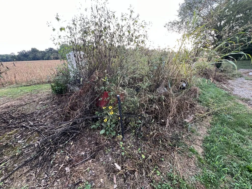 Reliable garden landscaping experts serving Hebron, KY - MT Outdoor Services