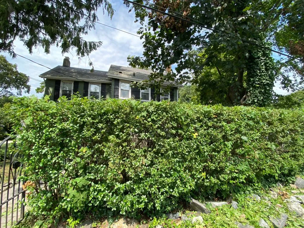Professional lawn care service for beautiful yards across Pocatino Hills, NY - Mt Pleasant OddJobs