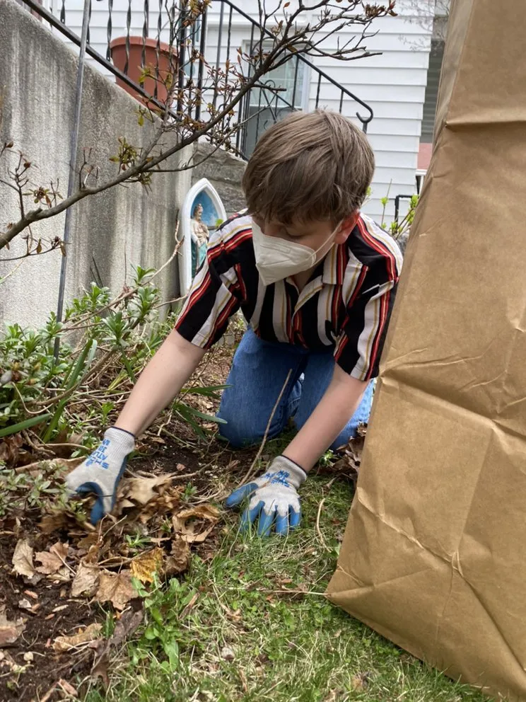 Reliable landscape installation in Pocatino Hills, NY by Mt Pleasant OddJobs