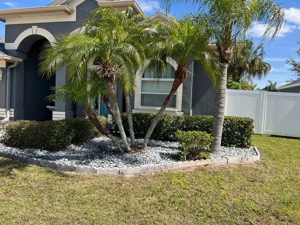 Professional lawn care service in Tampa Bay, FL by M&T Property Solutions