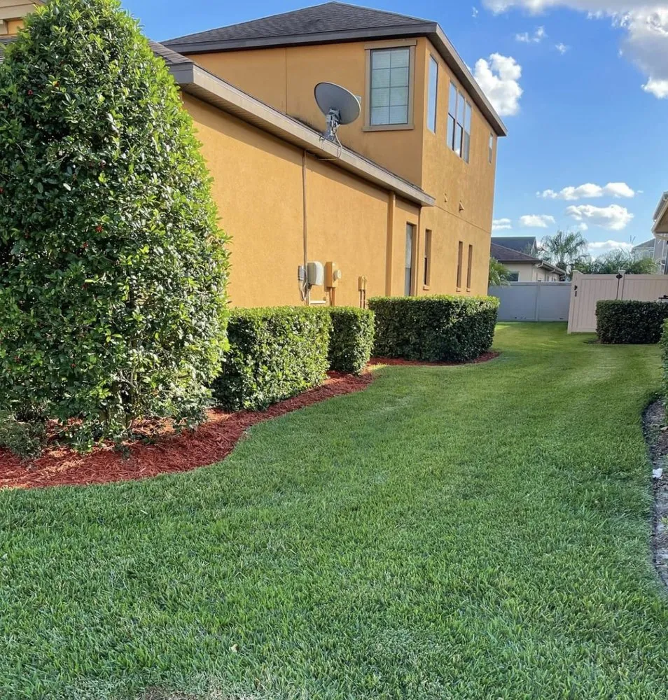 Custom yard cleanup service in Tampa Bay, FL - M&T Property Solutions
