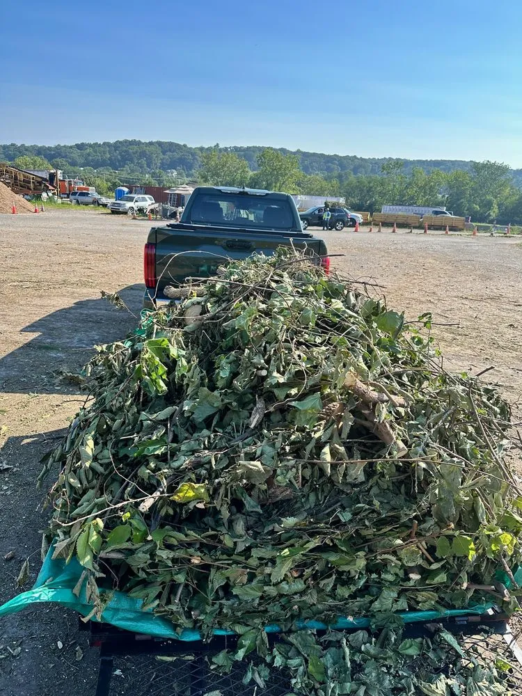 Professional outdoor landscaping in Baltimore, MD - M&T Realty Group