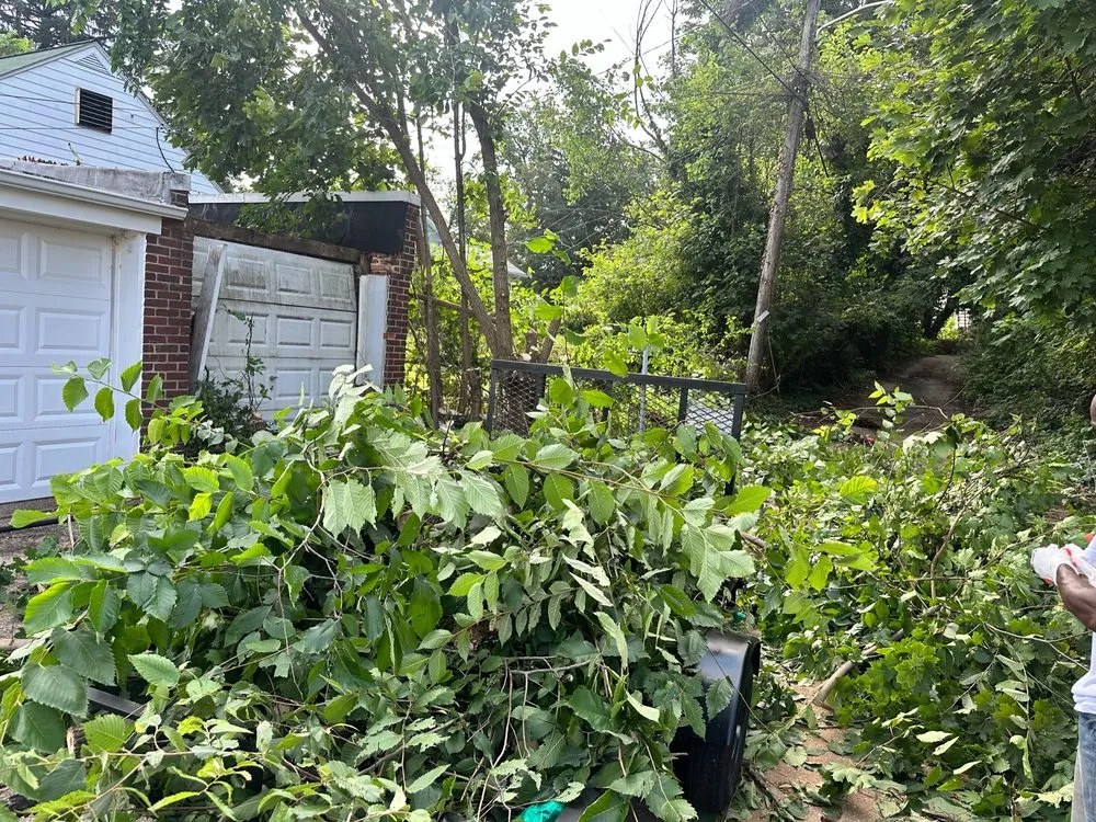 Affordable landscape design for beautiful yards in Baltimore, MD by M&T Realty Group