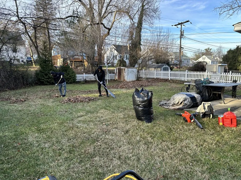 Custom yard cleanup service experts serving Baltimore, MD - M&T Realty Group